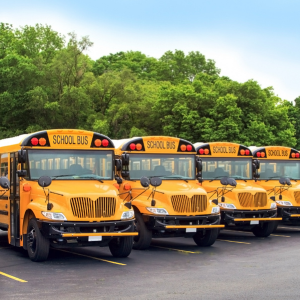 school buses